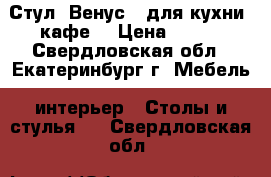 Стул “Венус“ (для кухни, кафе) › Цена ­ 800 - Свердловская обл., Екатеринбург г. Мебель, интерьер » Столы и стулья   . Свердловская обл.
